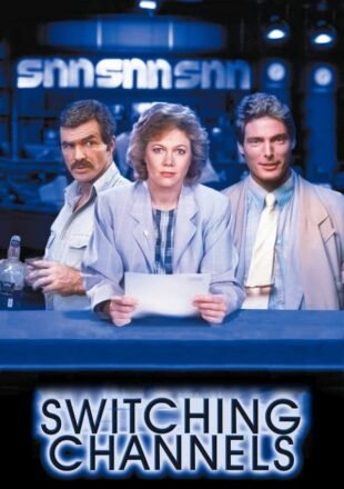 Switching Channels 1988 Dual Audio Hindi-English 480p 720p 1080p