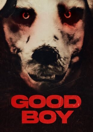 Good Boy 2022 Dual Audio Hindi-Norwegian 480p 720p 1080p